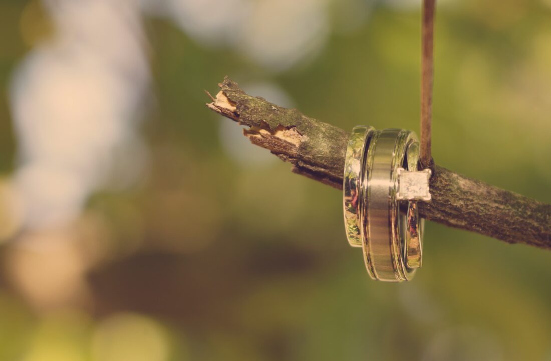 Wedding Rings on tree branch at a The Chateau Wedding in Hudson Valley