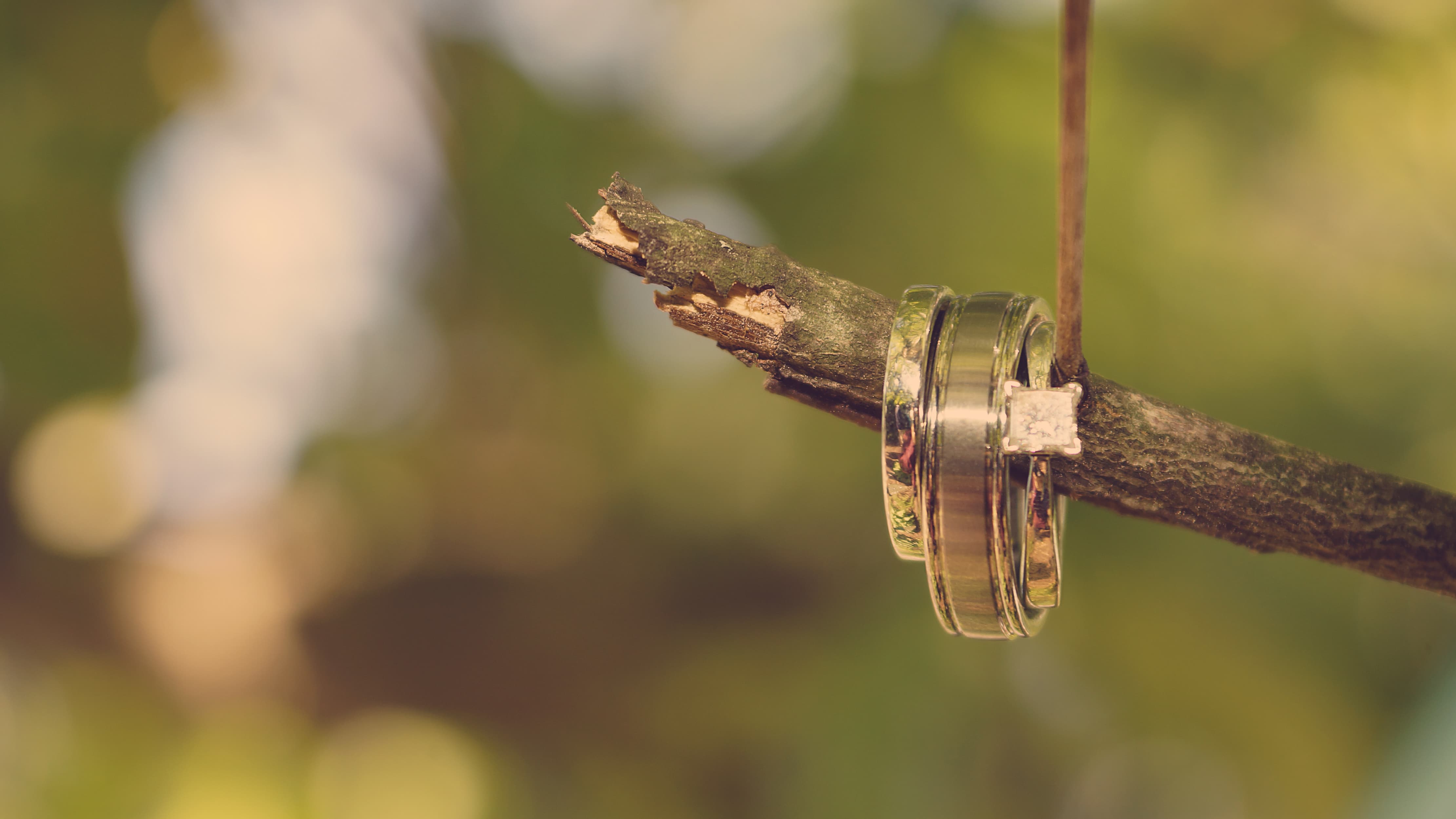 Wedding Rings on tree branch at a The Chateau Wedding in Hudson Valley