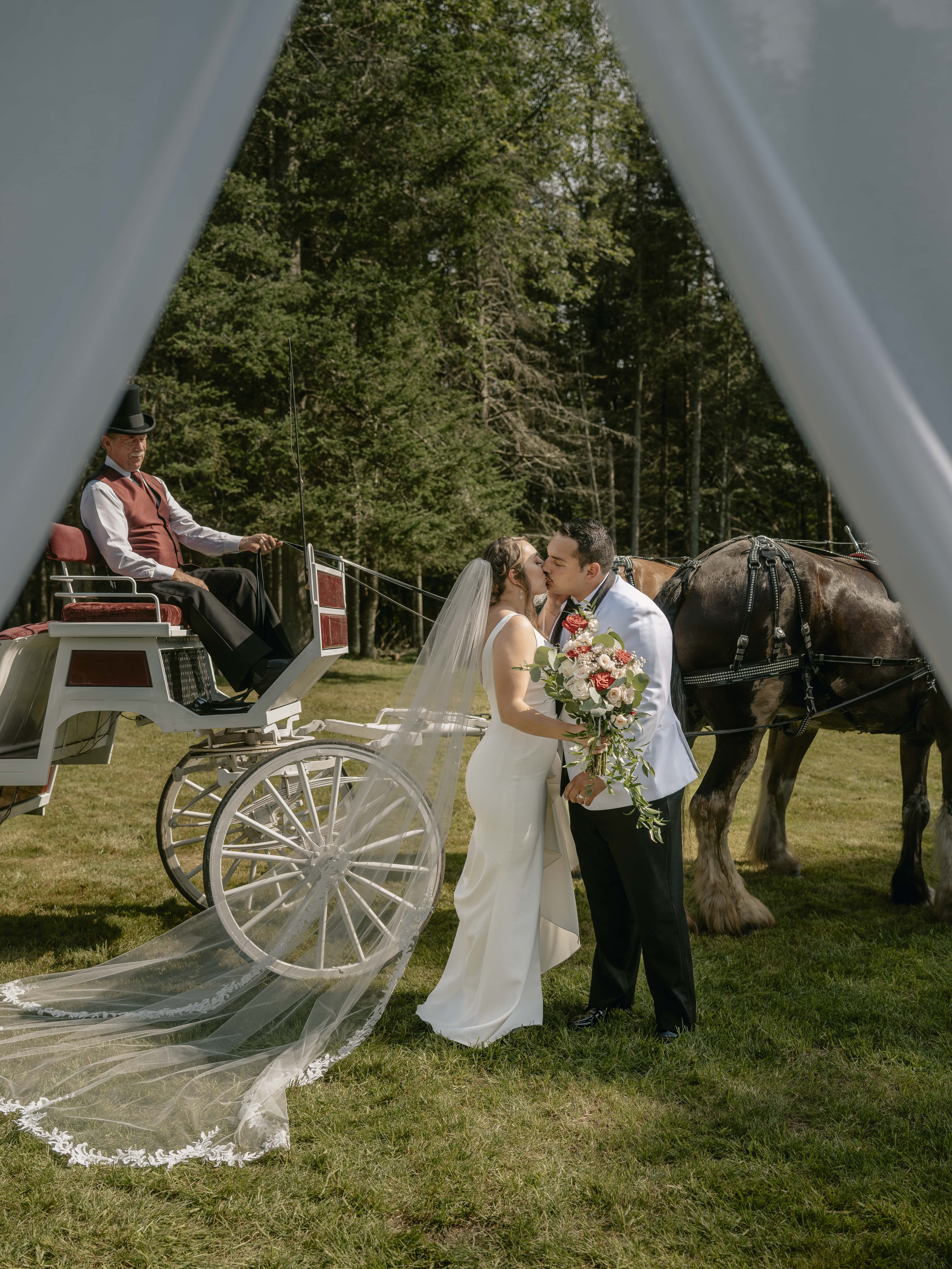 Bride and Groom kiss by horse drawn carriage at an Upstate New York Wedding in the Hudson Valley