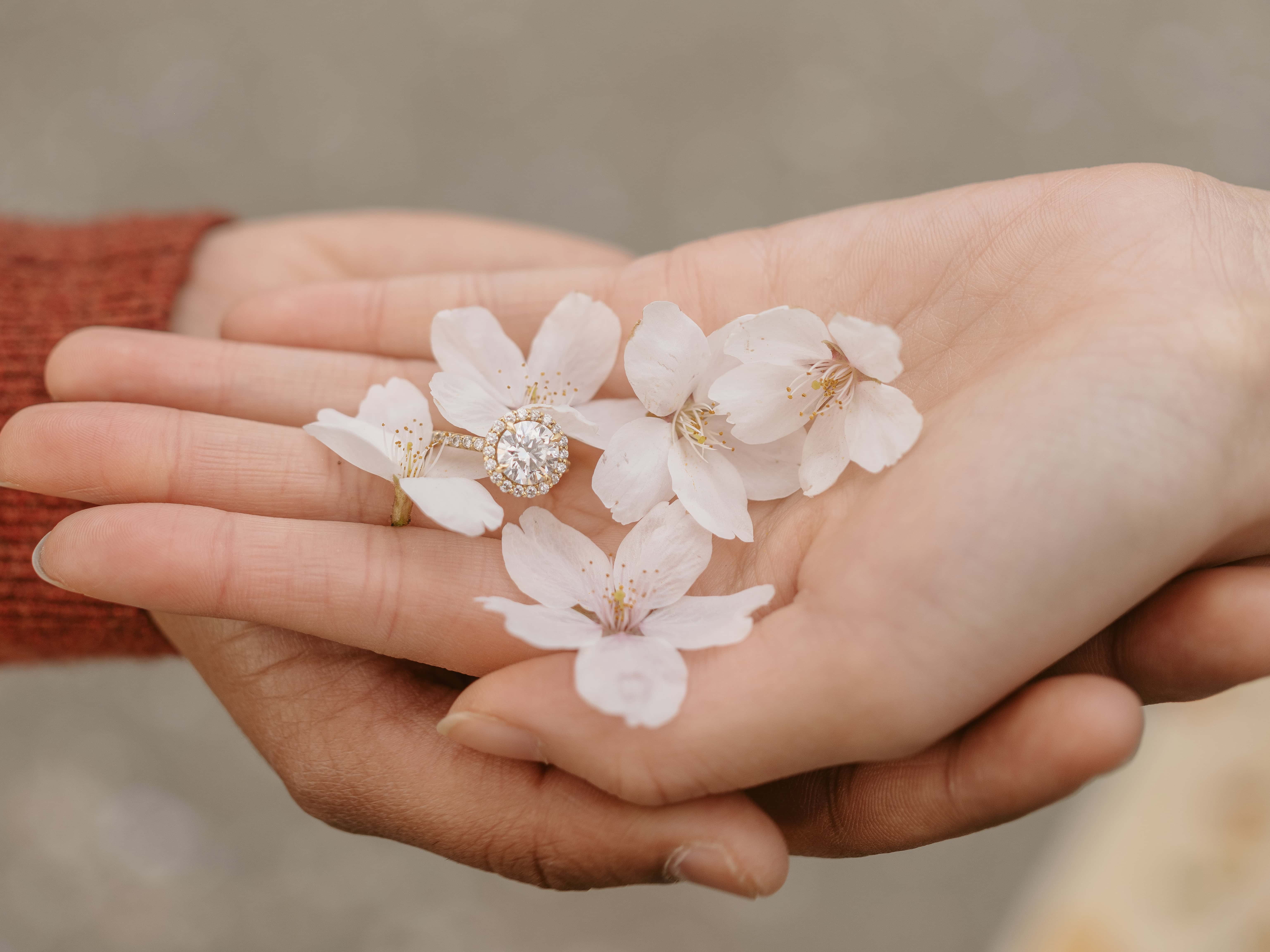 Engagement Ring surrounded by cherry blossom petals down a Cherry Blossom Path for a Central Park Engagement Shoot in New York City 